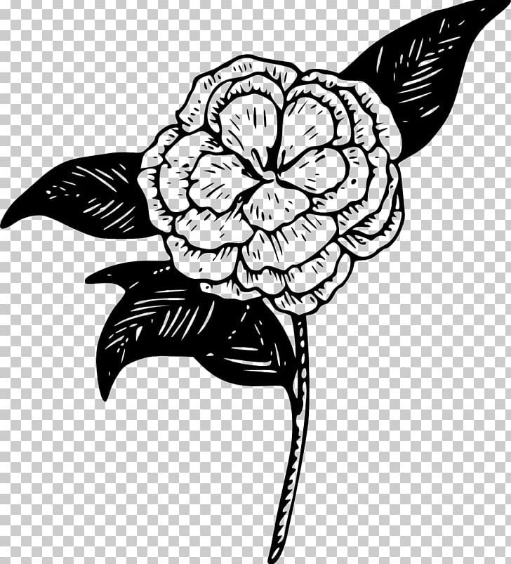 Computer Icons Camellia PNG, Clipart, Art, Artwork, Bird, Black, Black And White Free PNG Download