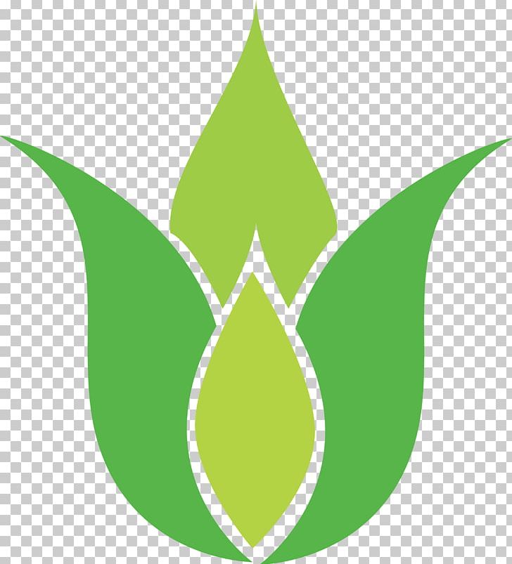 Symbol Leaf Sign Logo Pattern PNG, Clipart, Axial Symmetry, Circle, Grass, Green, Leaf Free PNG Download