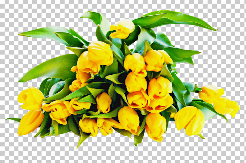 Artificial Flower PNG, Clipart, Artificial Flower, Bouquet, Cut Flowers, Dendrobium, Flower Free PNG Download