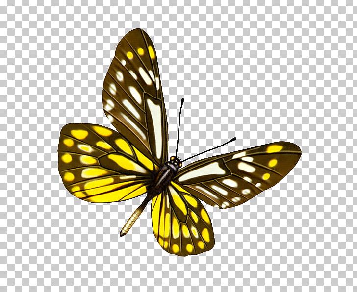 Butterfly Desktop PNG, Clipart, 3d Computer Graphics, Brush Footed Butterfly, Computer, Desktop Wallpaper, Insects Free PNG Download