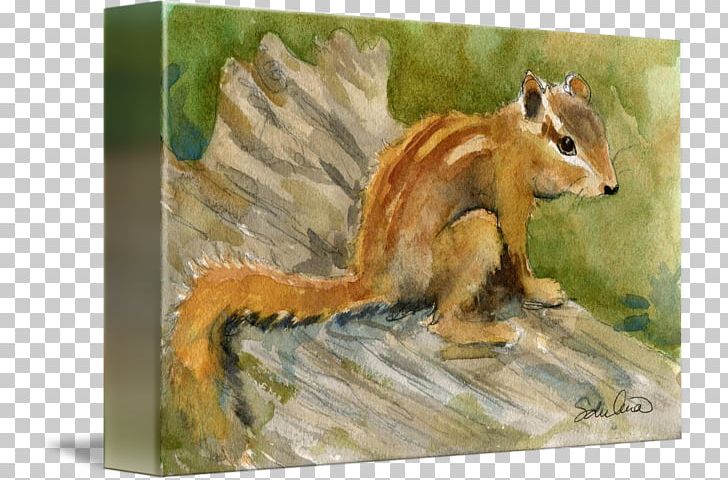 Chipmunk Watercolor Painting Art Mixed Media PNG, Clipart, Animal, Art, Art Museum, Canvas, Chipmunk Free PNG Download