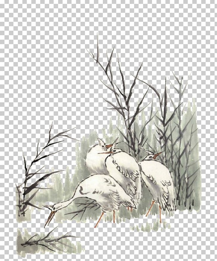 Drawing Crane Illustration PNG, Clipart, Beak, Bird, Birds, Black And White, Branch Free PNG Download