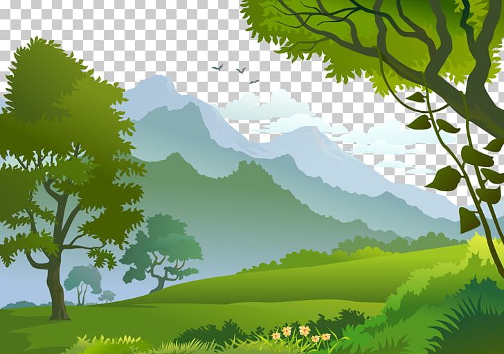 Forest Landscape Photography Illustration PNG, Clipart, Biome, Black Forest, Branch, Computer Wallpaper, Drawing Free PNG Download