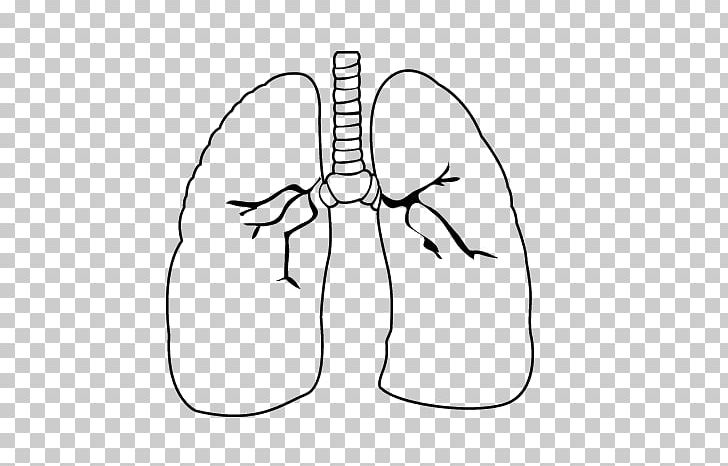 Lung Drawing Heart Coloring Book Circulatory System PNG, Clipart, Abdomen, Angle, Arm, Eye, Face Free PNG Download