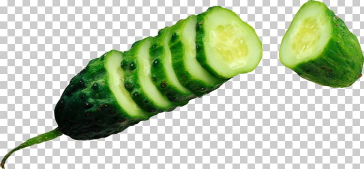 Pickled Cucumber Vegetable Food PNG, Clipart, Cucumber, Cucumber Gourd And Melon Family, Cucumber Juice, Cucumis, Food Free PNG Download