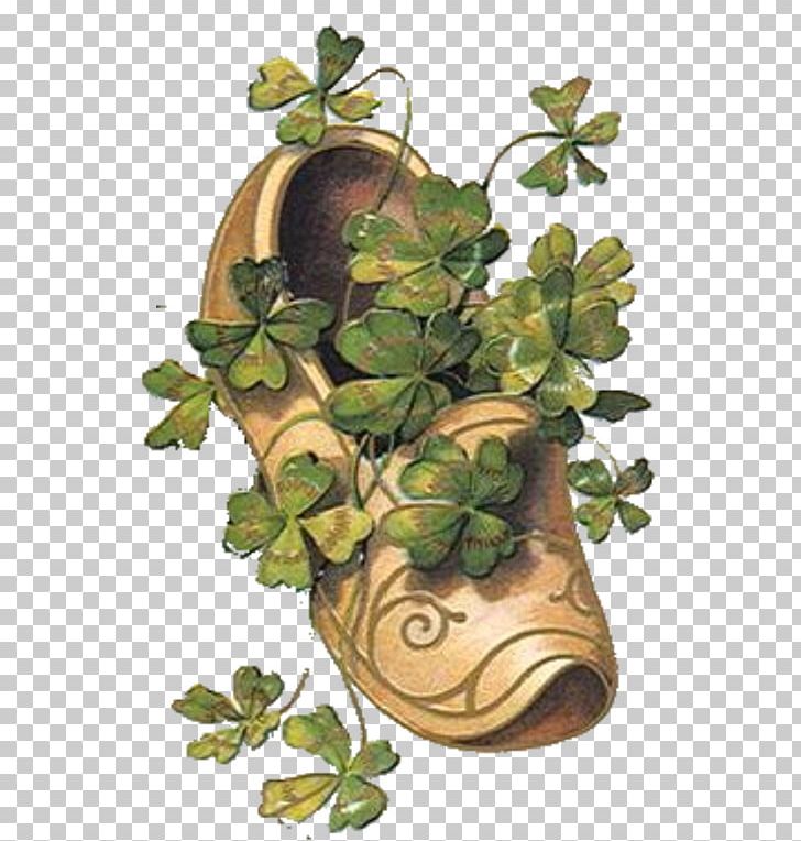 Saint Patrick's Day Shamrock 17 March PNG, Clipart, 17 March, Antique, Christmas Card, Clover, Flower Free PNG Download
