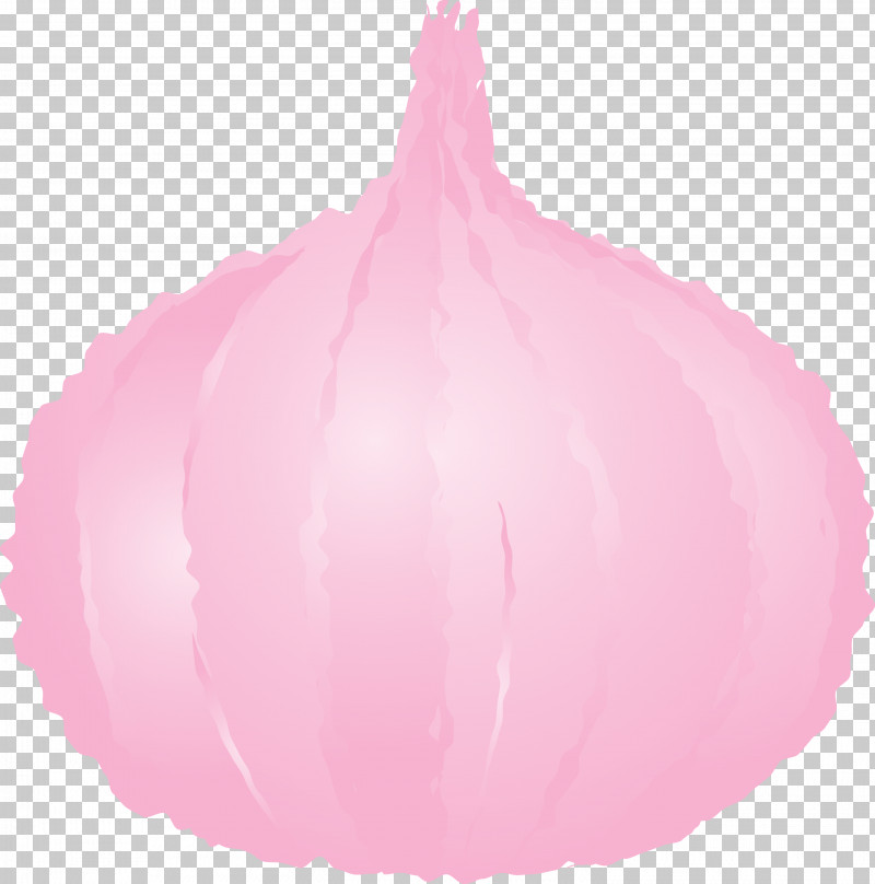 Onion PNG, Clipart, Onion, Petal Free PNG Download
