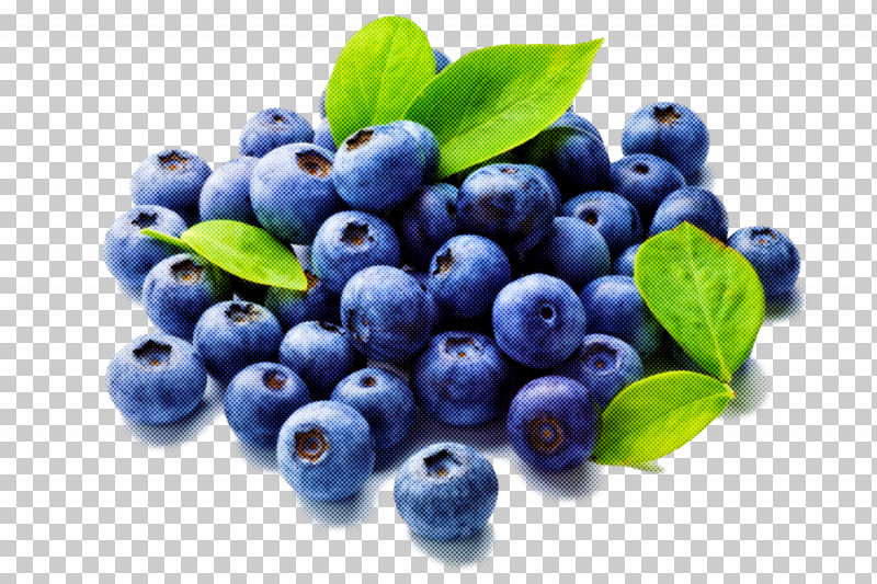 Berry Bilberry Blue Natural Foods Blueberry PNG, Clipart, Berry, Bilberry, Blue, Blueberry, Food Free PNG Download