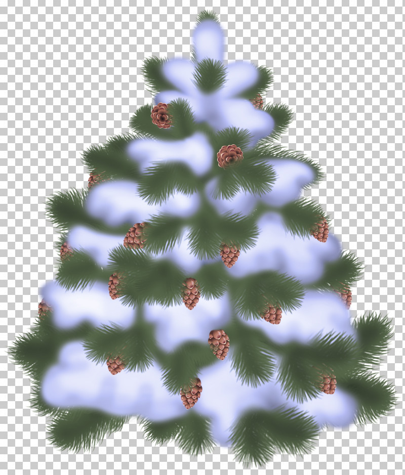 Christmas Tree PNG, Clipart, Balsam Fir, Christmas Tree, Colorado Spruce, Holiday Ornament, Lodgepole Pine Free PNG Download