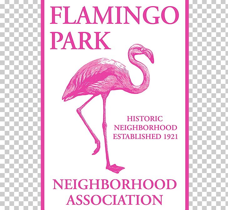Il Fenicottero Greater Flamingo Bird Paper Book PNG, Clipart, Amazoncom, Animals, Beak, Bird, Book Free PNG Download