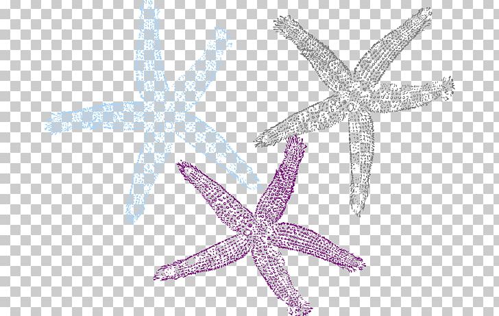 Starfish Drawing Invertebrate PNG, Clipart, Animal, Cartoon, Dolphin, Download, Drawing Free PNG Download