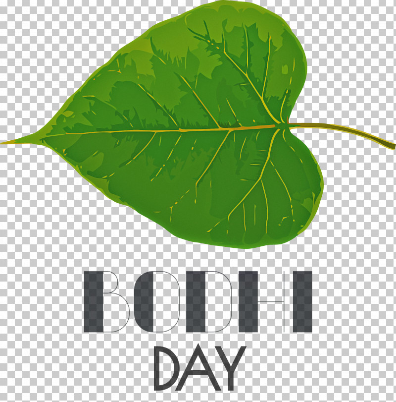 Bodhi Day Bodhi PNG, Clipart, Biology, Bodhi, Bodhi Day, Leaf, Meter Free PNG Download