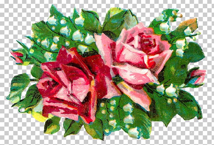 Cut Flowers Garden Roses Floral Design Centifolia Roses PNG, Clipart, Annual Plant, Artificial Flower, Centifolia Roses, Cut Flowers, Floral Design Free PNG Download