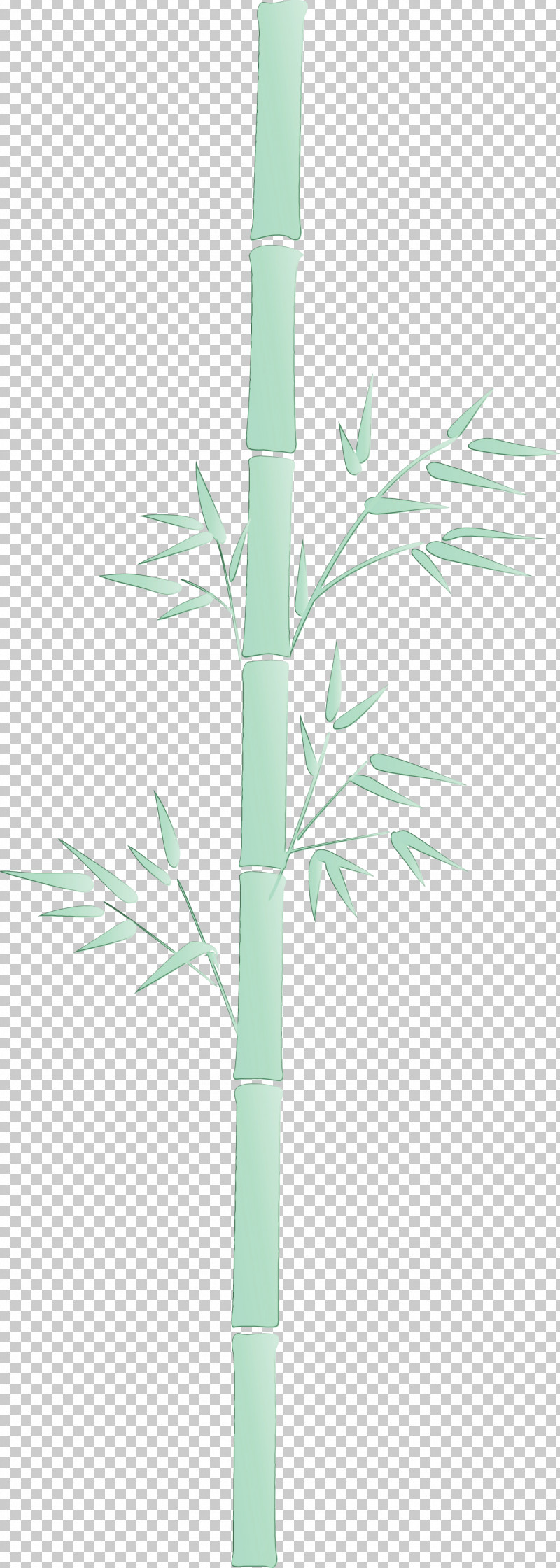 Leaf Plant Bamboo Plant Stem Branch PNG, Clipart, Bamboo, Branch, Eucalyptus, Flower, Grass Free PNG Download