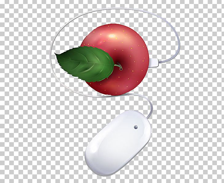 Computer Mouse Apple Wireless Mouse Apple Mouse PNG, Clipart, Apple, Apple Fruit, Apple Keyboard, Apple Logo, Apple Mighty Mouse Free PNG Download