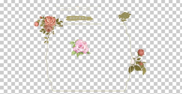 Flower Computer File PNG, Clipart, Border Frame, Border Frames, Boxes, Drawing, Euclidean Vector Free PNG Download