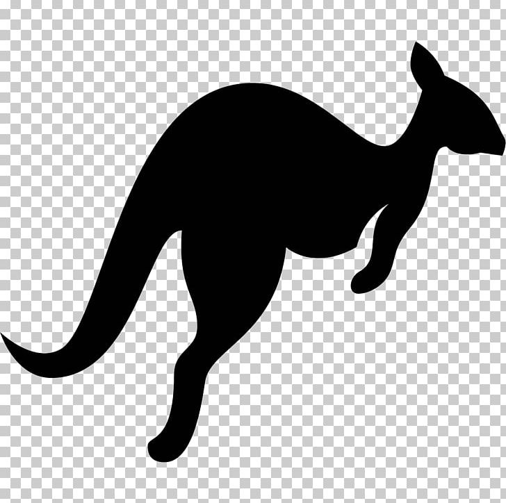 Kangaroo Whiskers Computer Icons Wallaby Reserve PNG, Clipart, Animals, Black And White, Carnivoran, Cat, Cat Like Mammal Free PNG Download