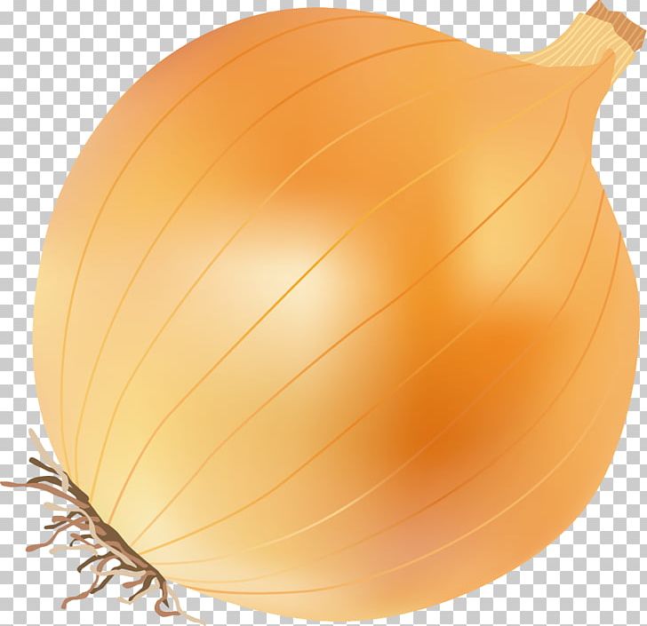Yellow Onion Calabaza PNG, Clipart, Android, Breath, Encapsulated Postscript, Food, Fruit Free PNG Download