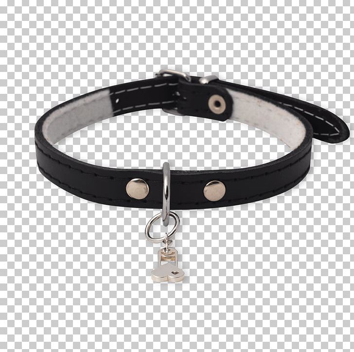 Bracelet Dog Collar Necklace PNG, Clipart, Animal, Belt Buckle, Belt Buckles, Bracelet, Buckle Free PNG Download