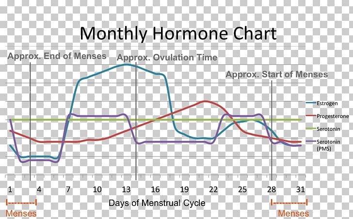 Menstrual Cycle Menstruation Premenstrual Syndrome Hormone Estrogen PNG, Clipart, Angle, Area, Cortisol, Diagram, Estrogen Free PNG Download