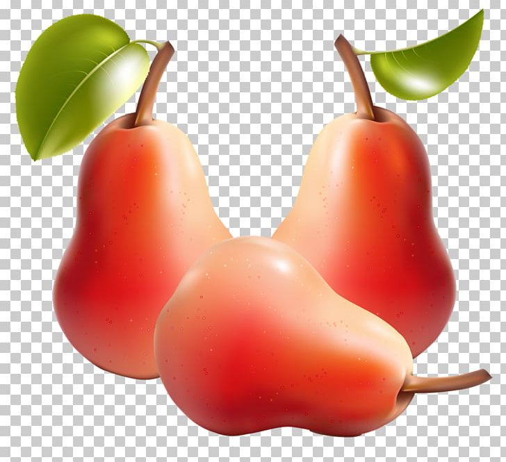 Fruit Vegetable Pear Illustration PNG, Clipart, Accessory Fruit, Apple, Bell Peppers And Chili Peppers, Diet Food, Drawing Free PNG Download