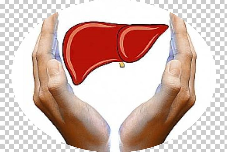 Liver Failure Health Food Toxin PNG, Clipart, Abdomen, Alanine Transaminase, Blood, Diet, Finger Free PNG Download
