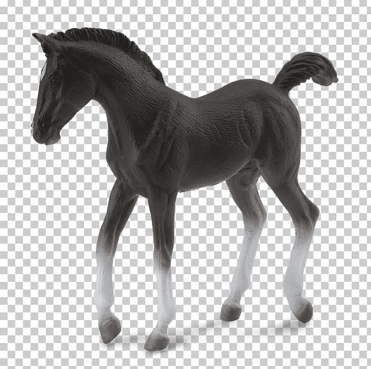 Tennessee Walking Horse Foal Stallion Black Forest Horse Shire Horse PNG, Clipart, American Quarter Horse, Animal Figure, Black, Black Forest Horse, Chestnut Free PNG Download