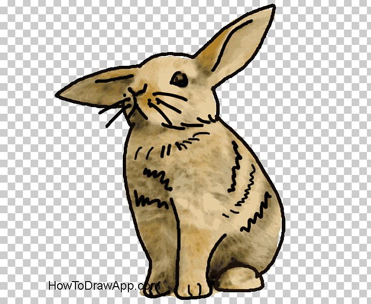 Domestic Rabbit Drawing Painting Hare Cartoon PNG, Clipart, Art, Carnivoran, Cartoon, Dog Like Mammal, Domestic Rabbit Free PNG Download