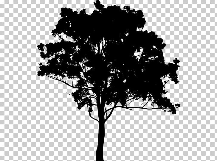 Drawing PNG, Clipart, Animals, Black And White, Branch, Download, Drawing Free PNG Download