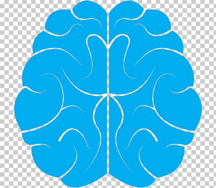 Human Brain Research Neuroscience Opioid Receptor PNG, Clipart, Area, Basal Ganglia, Blind Spot, Brain, Brain Tumor Free PNG Download
