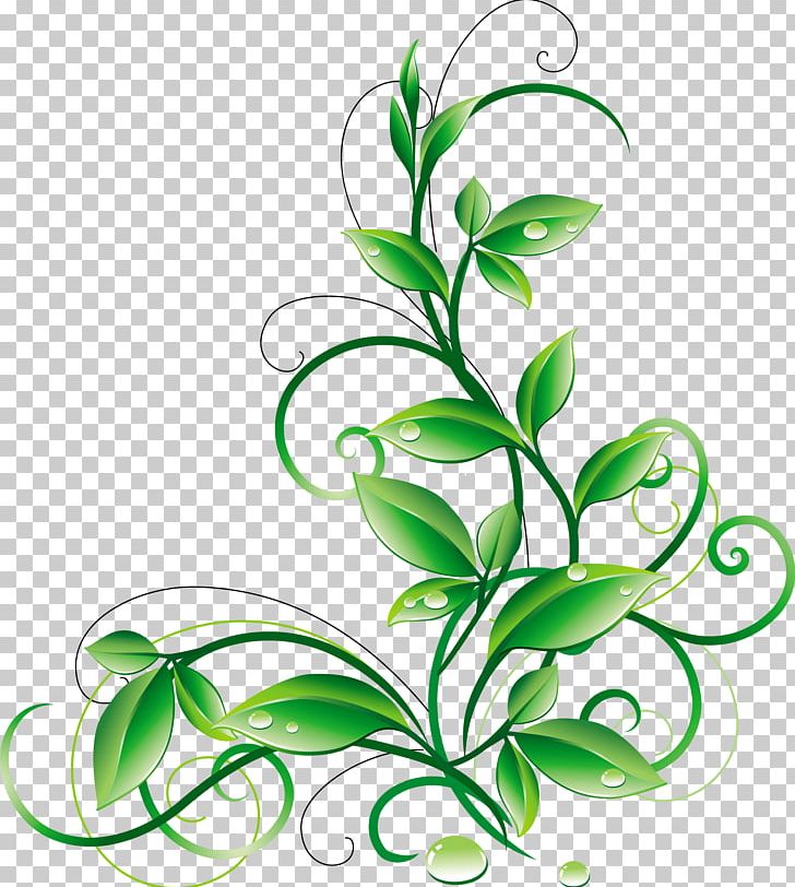 Leaf Flower PNG, Clipart, Art Green, Artwork, Autumn Leaf Color, Branch, Clip Art Free PNG Download