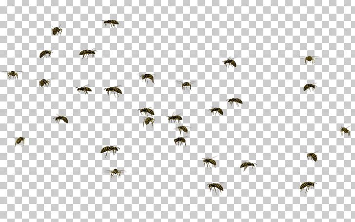 Bee Mosquito Swarm Behaviour Swarming PNG, Clipart, Bee, Beehive, Bird, Bumblebee, Desktop Wallpaper Free PNG Download