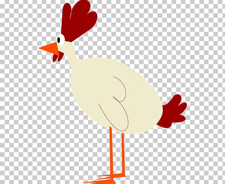 Chicken Free Content PNG, Clipart, Beak, Bird, Cartoon, Chicken, Chicken Images Free Free PNG Download