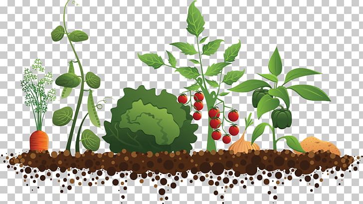 Community Gardening Roof Garden PNG, Clipart, Christmas Tree, Community, Family Tree, Garden, Garden Design Free PNG Download