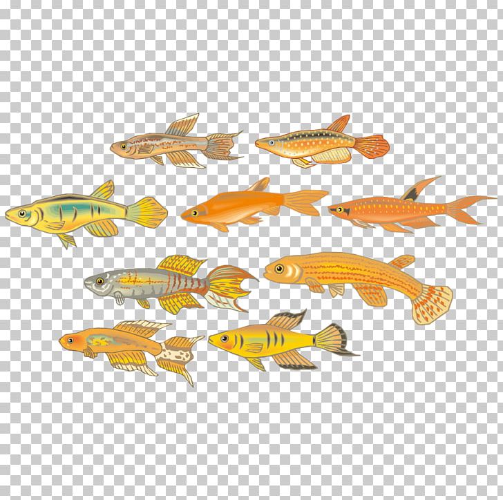 Fish Cartoon Pattern PNG, Clipart, Animals, Balloon Cartoon, Biological, Boy Cartoon, Cartoon Free PNG Download