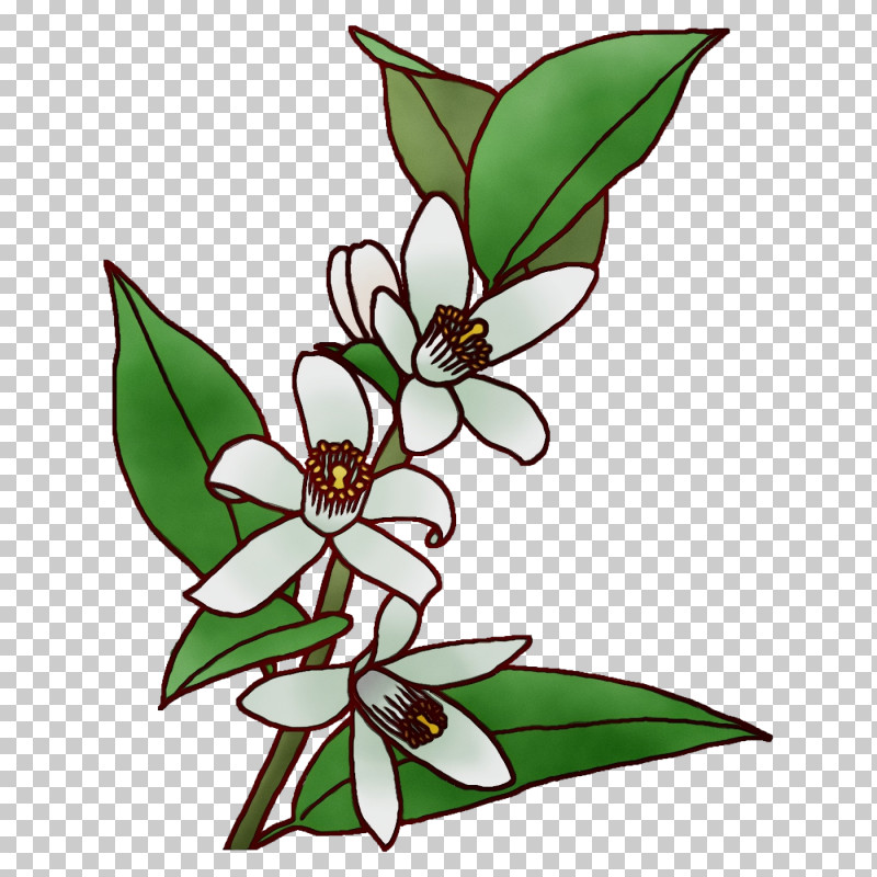 Floral Design PNG, Clipart, Biology, Branch, Character, Character Created By, Cut Flowers Free PNG Download