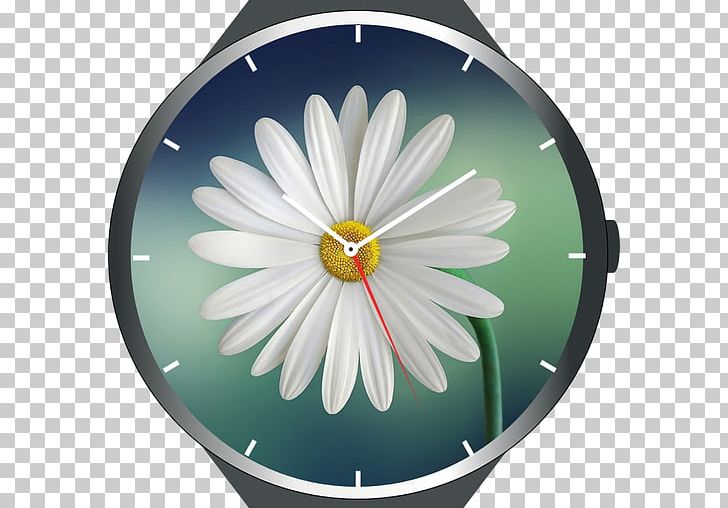 Flower Desktop Mindfulness Part 2 | The Practice Floristry Common Daisy PNG, Clipart, Common Daisy, Daisy, Daisy Family, Desktop Wallpaper, Flora Free PNG Download