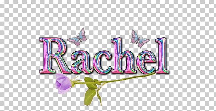 rachel name graffiti