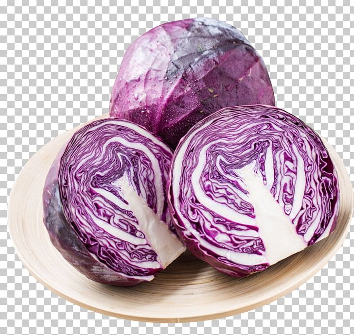 Red Cabbage Vegetable Purple PNG, Clipart, Bra, Cabbage, Enterprise Resource Planning, Food, Gift Free PNG Download
