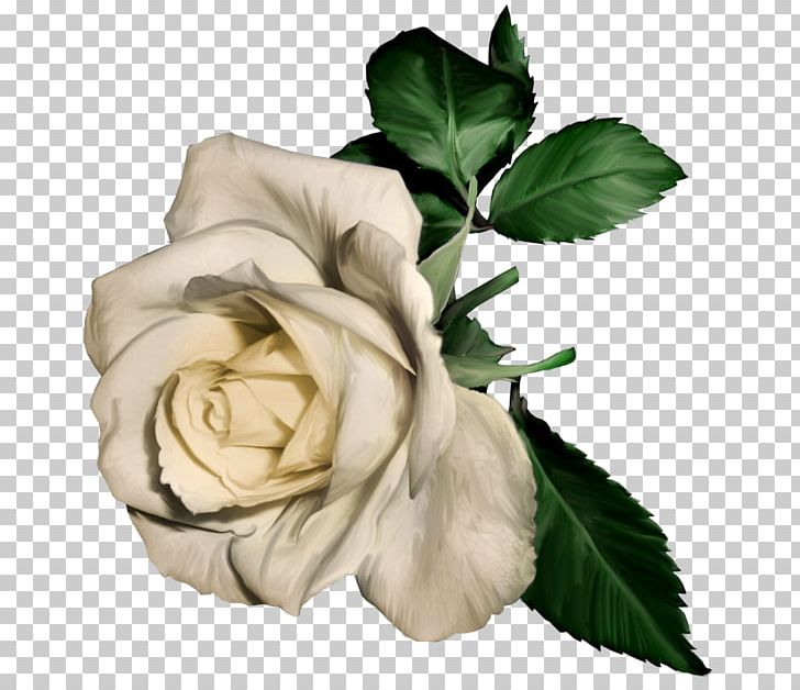 Rose White Flower PNG, Clipart, Art White, Blue, Blue Rose, Clipart, Clip Art Free PNG Download
