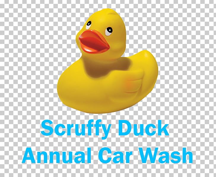 Rubber Duck Debugging Natural Rubber Toy PNG, Clipart, Bathroom, Bathtub, Beak, Bird, Duck Free PNG Download