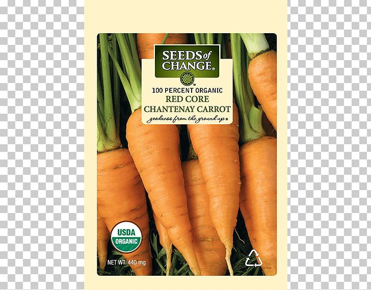 Baby Carrot Organic Food Tatsoi Seed PNG, Clipart, Baby Carrot, Cabbages, Carrot, Food, Green Free PNG Download