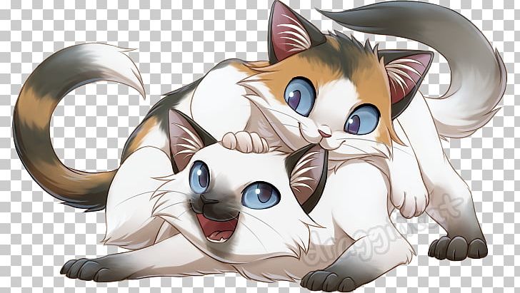 Kitten Ragdoll Whiskers Drawing Art PNG, Clipart, Anime, Art, Carnivoran, Cat, Cat Like Mammal Free PNG Download