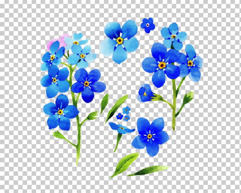 Alpine Forget-me-not Flower Forget-me-not Blue Plant PNG, Clipart, Alpine Forgetmenot, Blue, Borage Family, Flower, Forgetmenot Free PNG Download