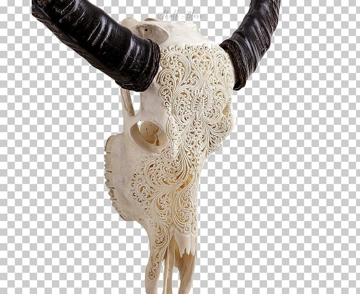 Animal Skulls Cattle Buffalo PNG, Clipart, American Bison, Animal, Animal Skulls, Buffalo, Cargo Free PNG Download