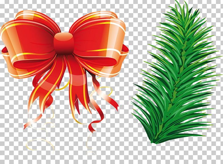 Christmas Tree Resolution PNG, Clipart, Christmas, Christmas Tree, Depositfiles, Download, Flower Free PNG Download