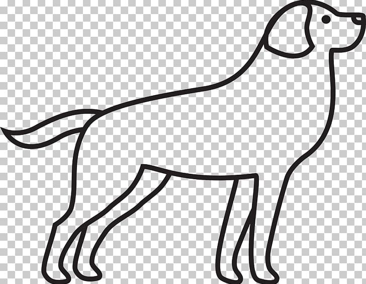 Dog Breed Labrador Retriever Whiskers PNG, Clipart, Animal, Animal Figure, Beak, Black And White, Breed Free PNG Download