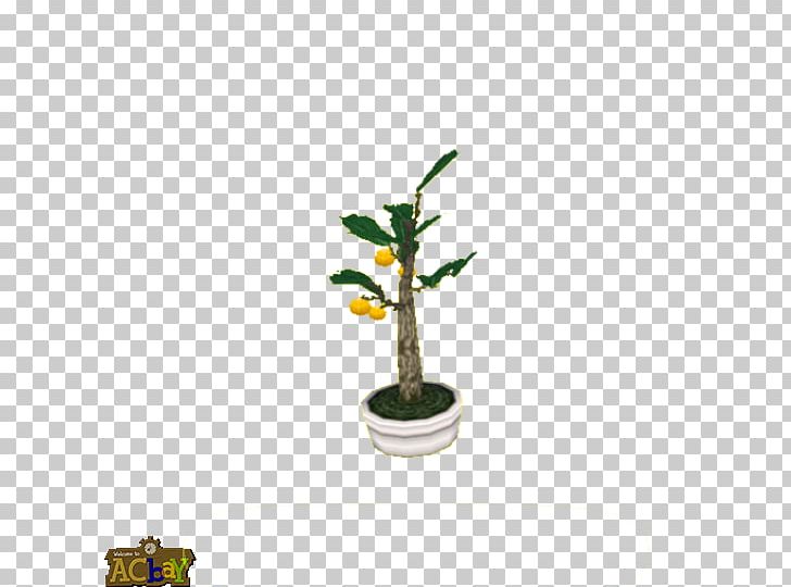 Flowerpot Houseplant Plant Stem PNG, Clipart, Bbcode, Bonsai, Branch, Flowerpot, Holly Free PNG Download