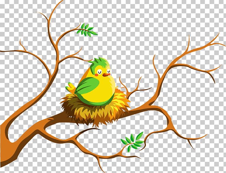 Lovebird Cage Bird Feeders PNG, Clipart, Amphibian, Animals, Art, Artwork, Beak Free PNG Download