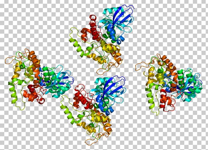 Protein Kinase A LRBA Deficiency Lipid-anchored Protein A-kinase-anchoring Protein PNG, Clipart, Akinaseanchoring Protein, Art, Body Jewelry, Creative Arts, Lipidanchored Protein Free PNG Download